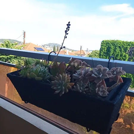 Cosy Centre-climatise-parking Prive 사나리쉬르메르