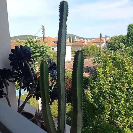 Cosy Centre-climatise-parking Prive 아파트 사나리쉬르메르